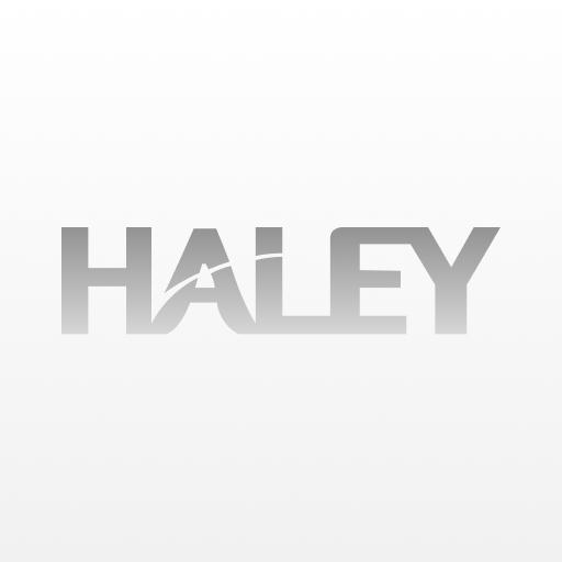 Логотип бренда “Страница бренда Haley”