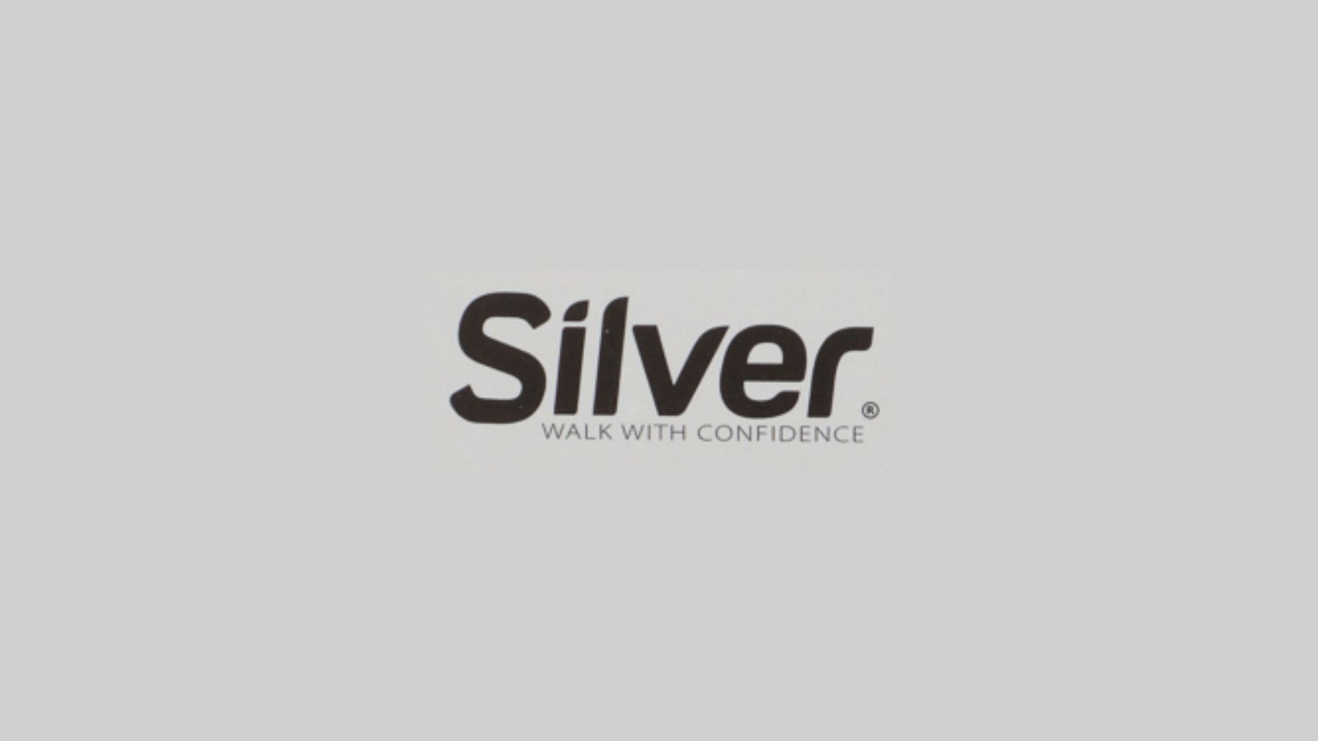 Логотип бренда “Страница бренда Silver”