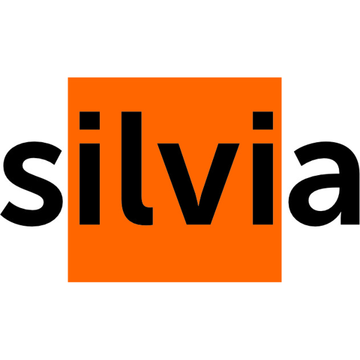 Логотип бренда “Страница бренда Silvia”