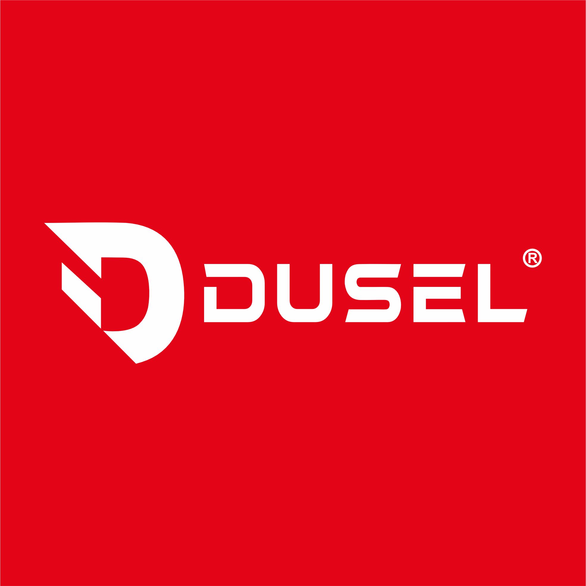 Логотип бренда “Страница бренда Dusel”